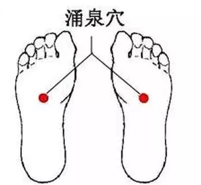 1678328057384766.jpg t0126639d6c4d00e492.webp.jpg