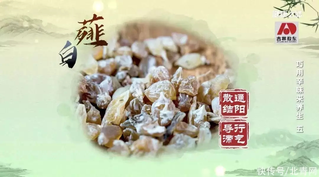 t013e9c6506b9a327d1.webp.jpg