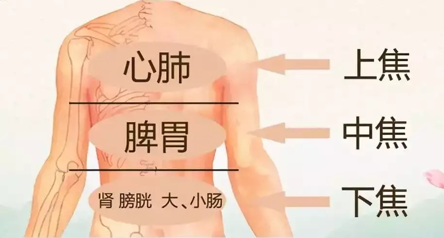 t01f4a85865016b5b65.webp.jpg